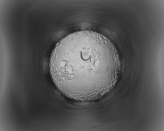 X0000083590527200703021848