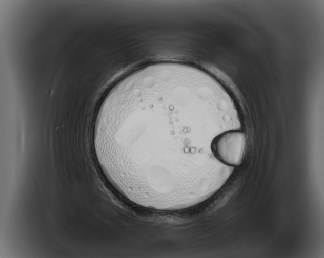 X0000083590529200703021847