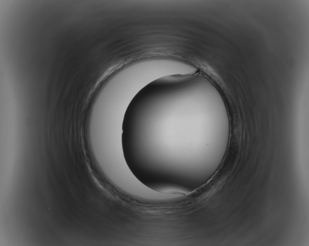 X0000083590530200703021847