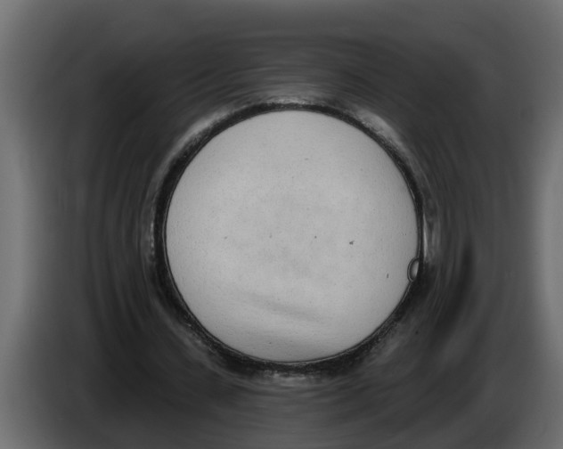 X0000083590531200703021847