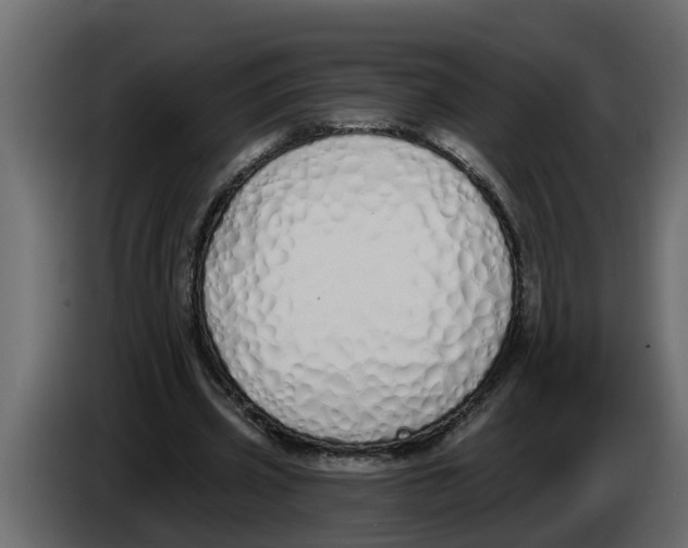 X0000083590533200703021847