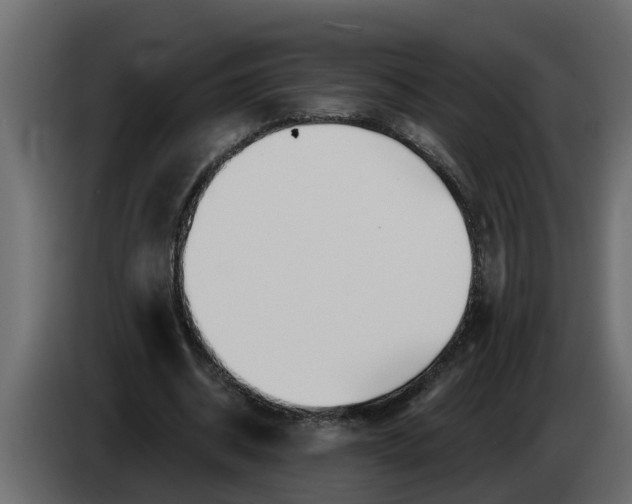 X0000083590534200703021847