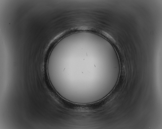 X0000083590535200703021847