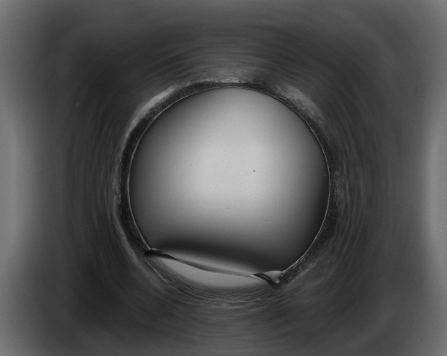 X0000083590536200703021847