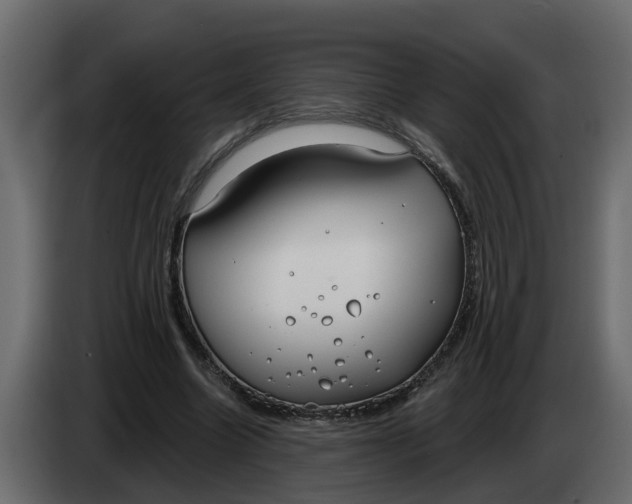 X0000083590538200703021848