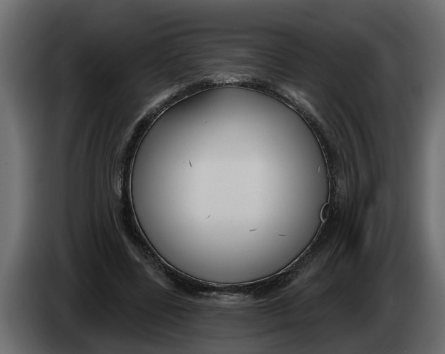 X0000083590539200703021848