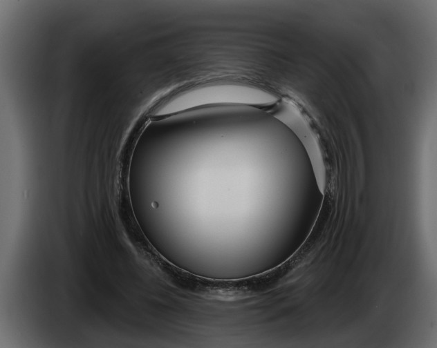 X0000083590540200703021848