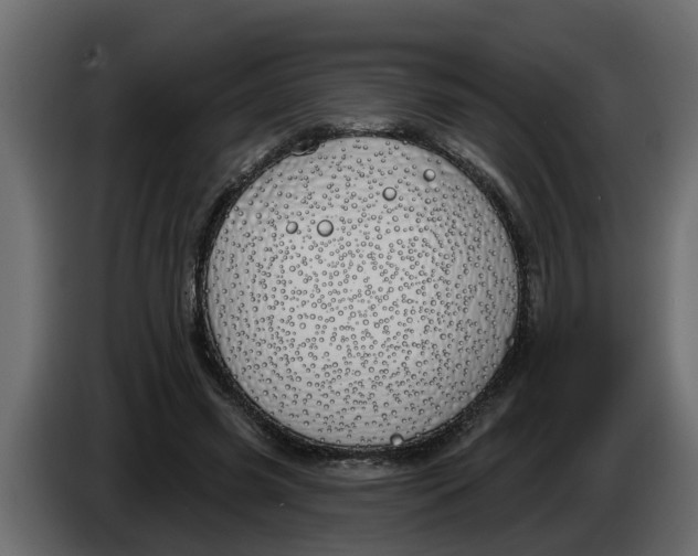 X0000083590541200703021848