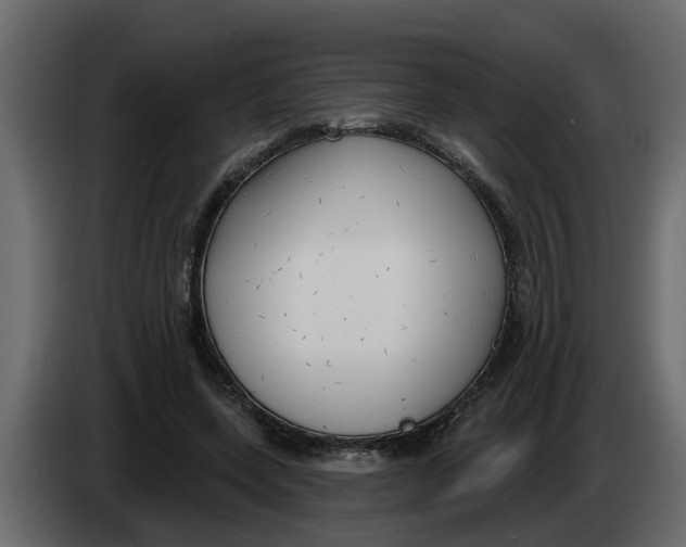 X0000083590543200703021848