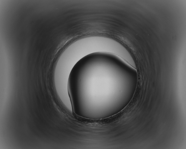 X0000083590544200703021848