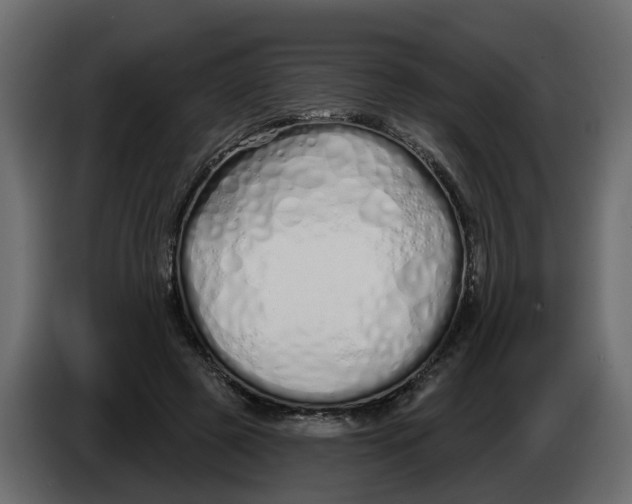X0000083590545200703021848