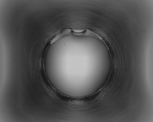 X0000083590546200703021848