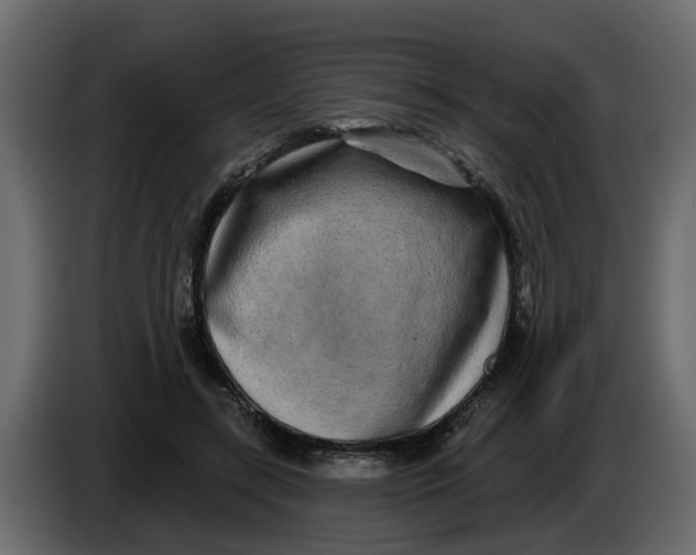 X0000083590547200703021848