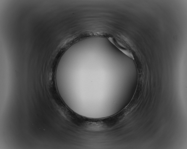 X0000083590548200703021848