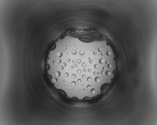 X0000083590549200703021848