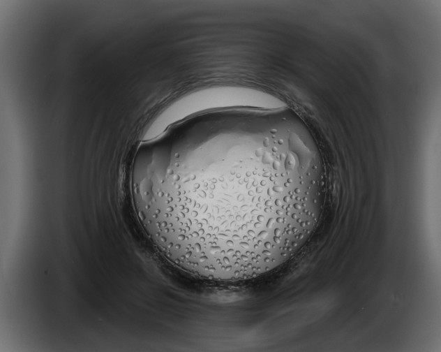 X0000083590550200703021848