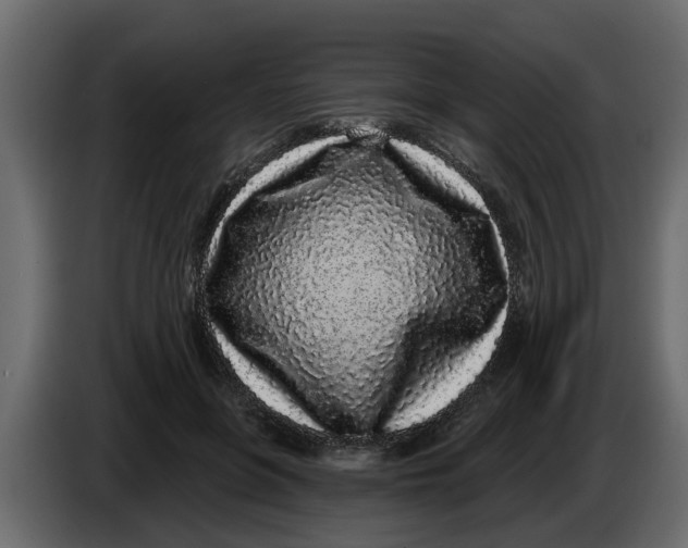 X0000083590551200703021848
