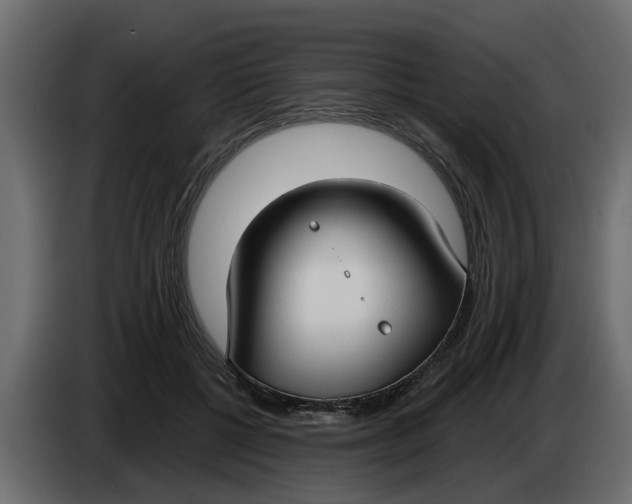 X0000083590552200703021848