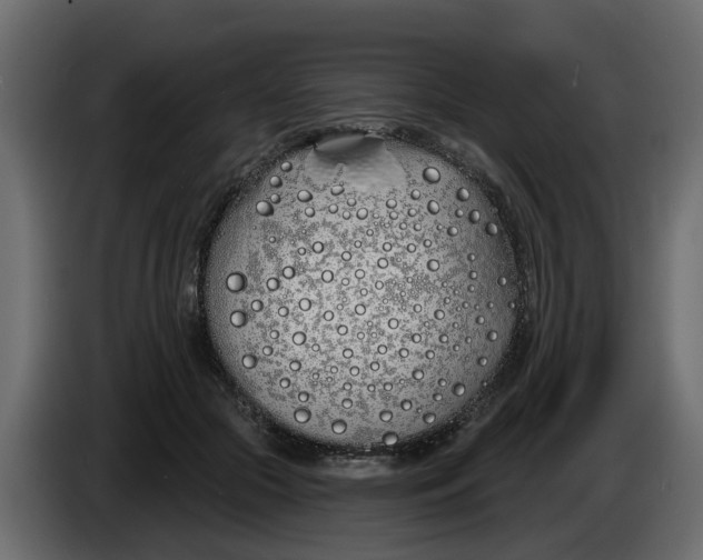 X0000083590553200703021848