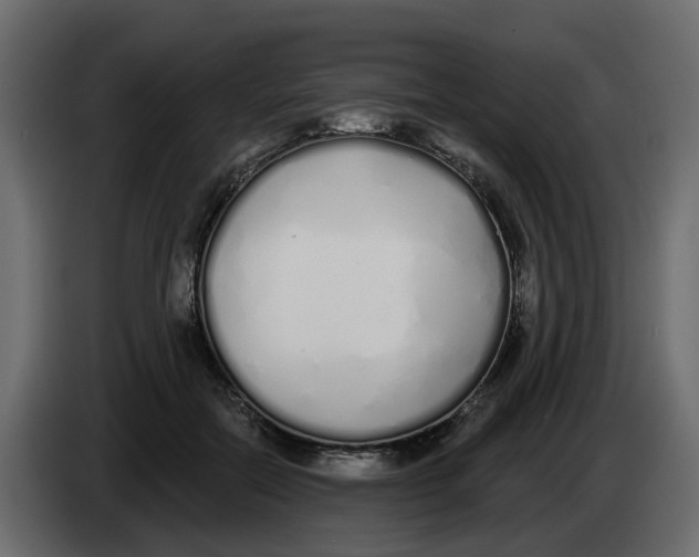 X0000083590554200703021848