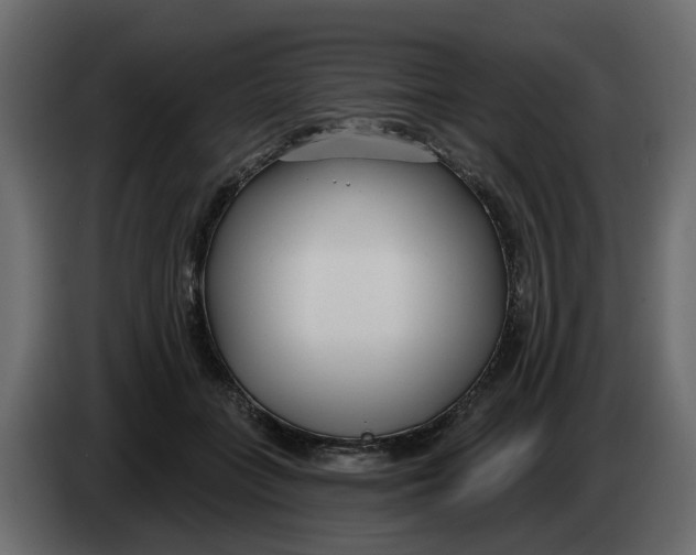 X0000083590555200703021848