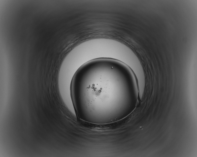 X0000083590556200703021848