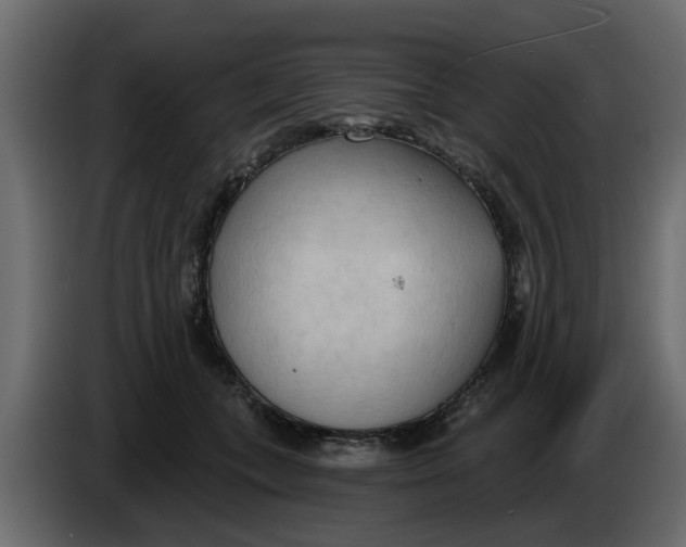X0000083590559200703021848