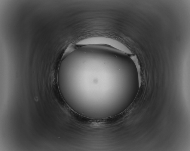 X0000083590560200703021848