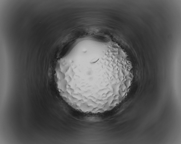 X0000083590561200703021848