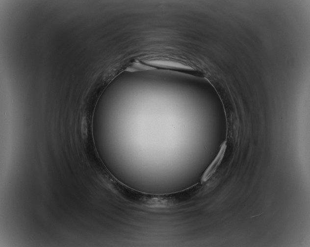 X0000083590562200703021848