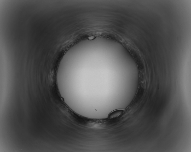 X0000083590563200703021848
