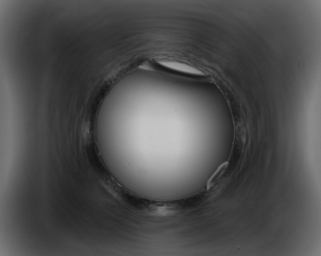X0000083590564200703021848