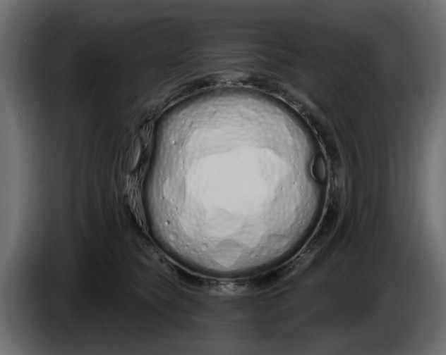 X0000083590565200703021848