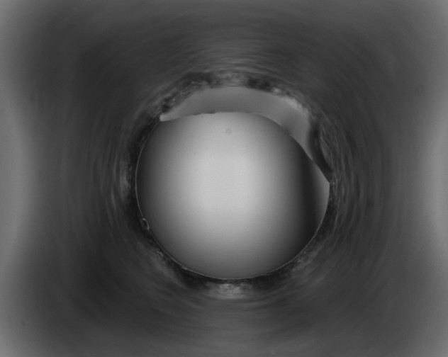 X0000083590566200703021848
