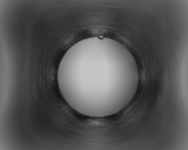X0000083590567200703021848