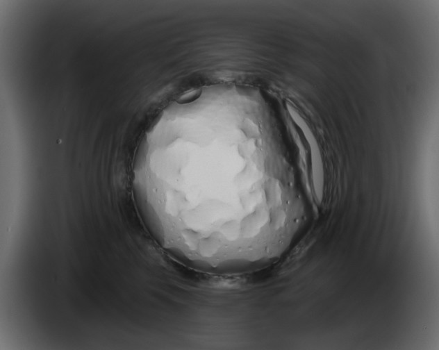 X0000083590569200703021848