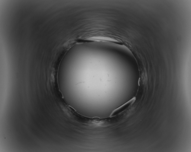 X0000083590570200703021848