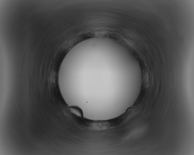 X0000083590571200703021848