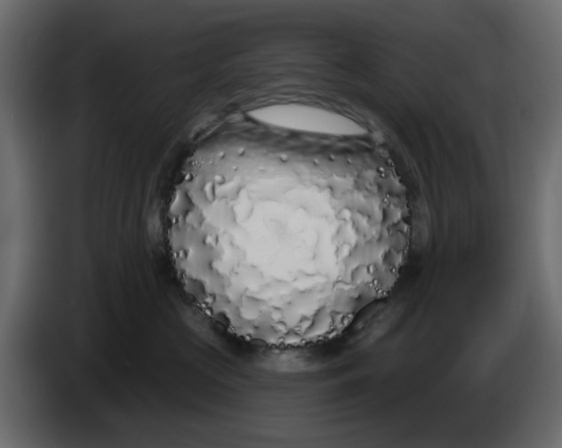 X0000083590573200703021848