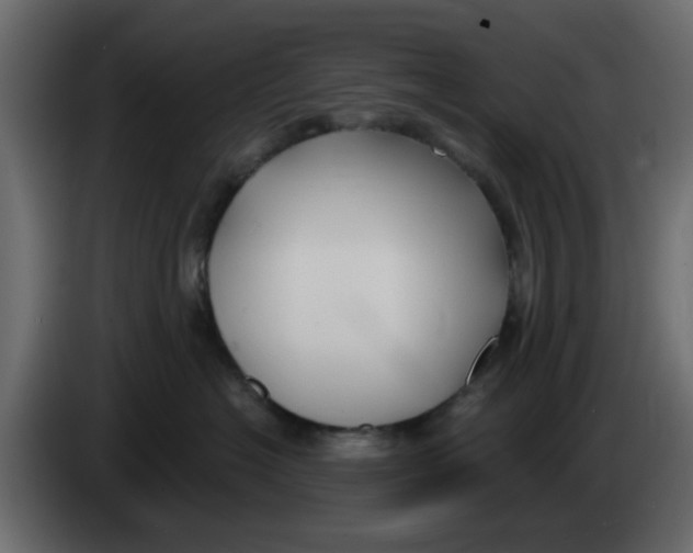 X0000083590574200703021848