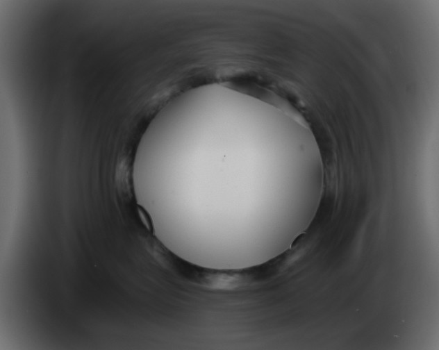 X0000083590575200703021848