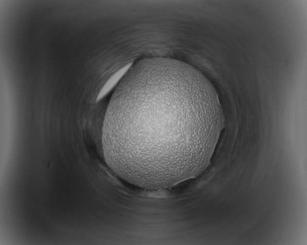 X0000083590576200703021848