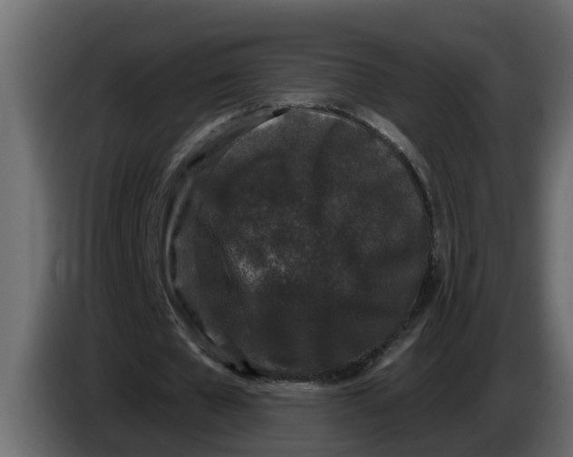 X0000083590577200703021847