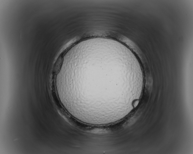 X0000083590578200703021847