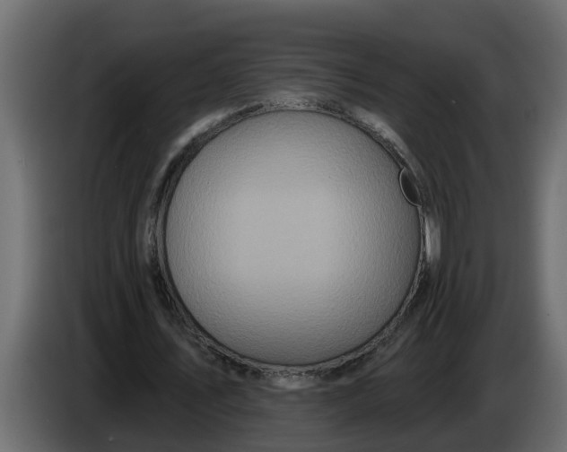 X0000083590579200703021847