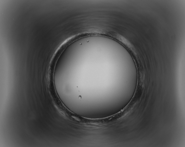 X0000083590580200703021847