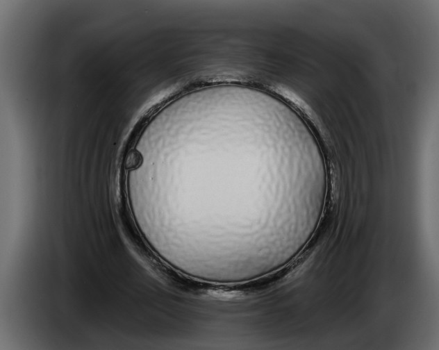 X0000083590582200703021847