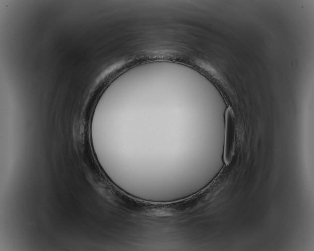 X0000083590583200703021847