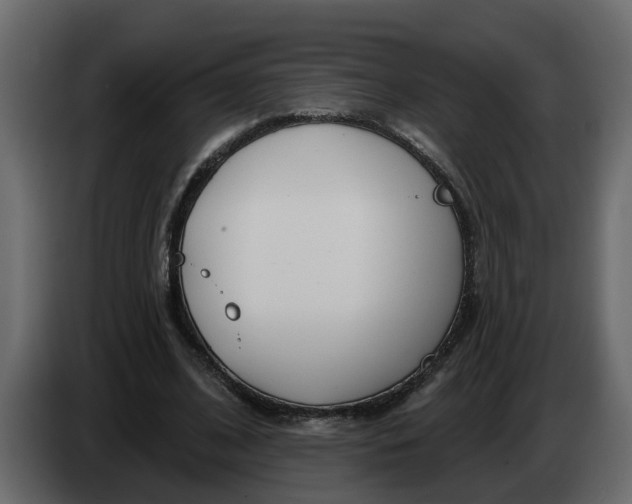 X0000083590584200703021847
