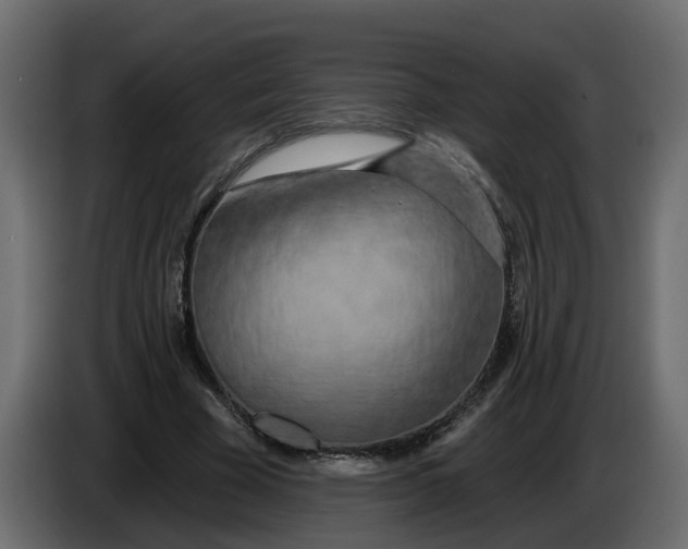 X0000083590585200703021847